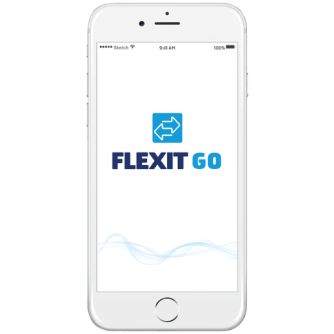 flexitgo programėlės telefone vaizdas